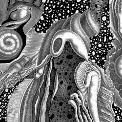Dimensional Space [Limited LP Edition]