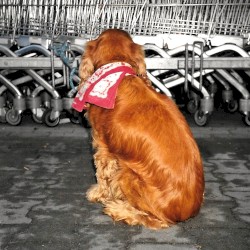 Käfighaltung, Baby!