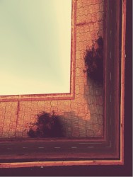 January the Twentieth