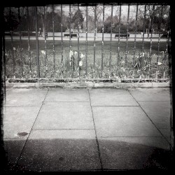 Streams of Consciousness