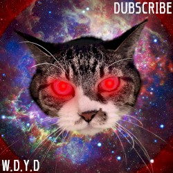 W.D.Y.D
