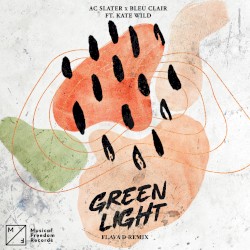Green Light (Flava D extended remix)