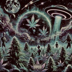 4Twenty®