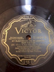 My Blackbirds Are Bluebirds Now / Don't Be Like That