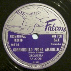 Gorrioncillo pecho amarillo / Enamórame