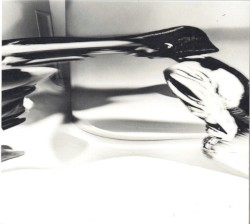 LP.8