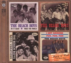 Music Ages, Volume 7: The Beach Boys