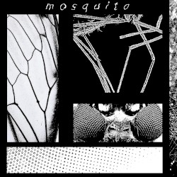 Mosquito