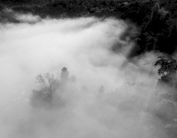 Scattering Spectrum