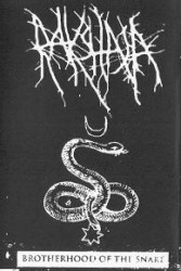 Brotherhood of the Snake