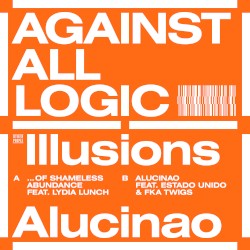 Illusions of Shameless Abundance