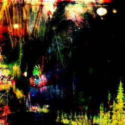 The Forest
