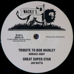 Tribute to Bob Marley