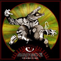 Från primat till reptil