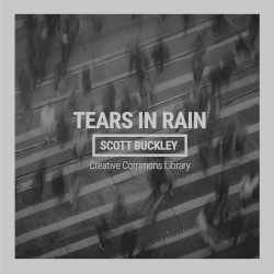 Tears in Rain
