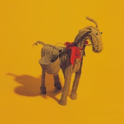 Straw Donkey… The Singles