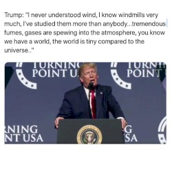 I Never Understood The Wind