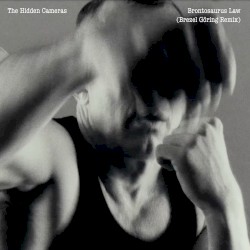 Brontosaurus Law (Brezel Göring remix)