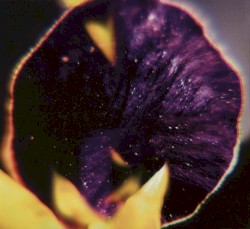 From Patterns to Details