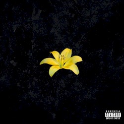 Жёлтые лилии