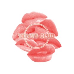 100 Layers of Lipgloss