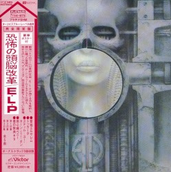 Brain Salad Surgery