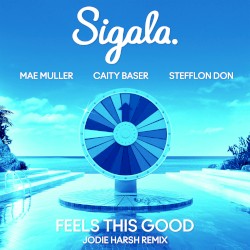 Feels This Good (Jodie Harsh remix)