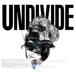 UNDIVIDE