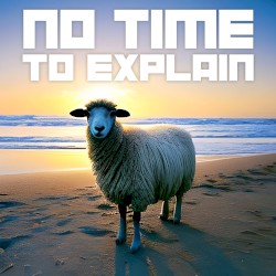 No Time to Explain