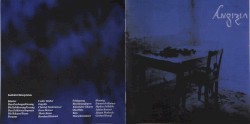 Das Tagebuch der Hanna Anikin