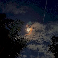 I saw a ghost in the woods