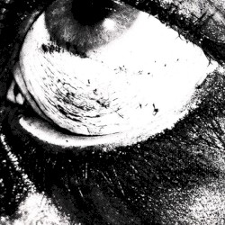 Bound To Misery