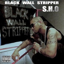 Black Wall Stripper