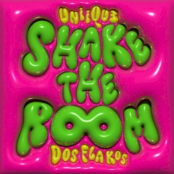 Shake The Room