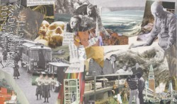 Fungal God / Disthroned Agony