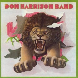 The Don Harrison Band