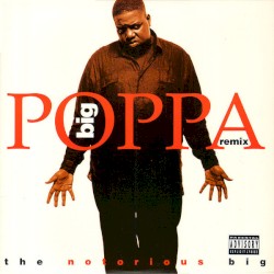 Big Poppa (remix)