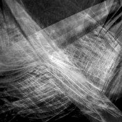 Creatures of Cadence