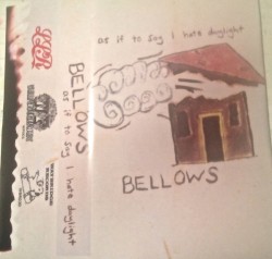 As If to Say I Hate Daylight