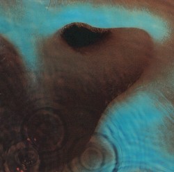 Meddle