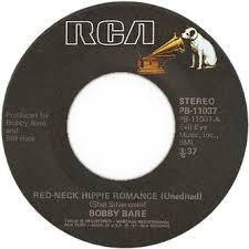 Red-Neck Hippie Romance / Bottom Dollar