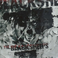 Blacksheeps