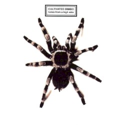 Tunes From a High Wire