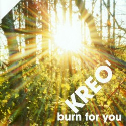 Burn for You