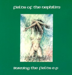 Burning the Fields EP