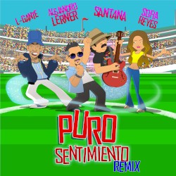 Puro sentimiento (remix)