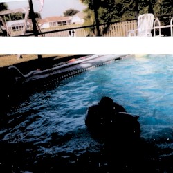 ⩪⩖⩚WHAT THE HELL IS GOOFY無誘導の