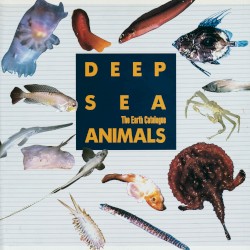 Deep Sea Animals
