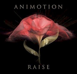 Raise Your Expectations