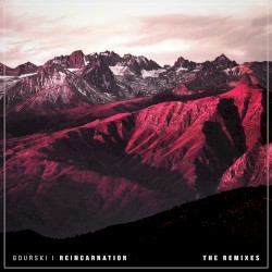 Reincarnation (Remixes)